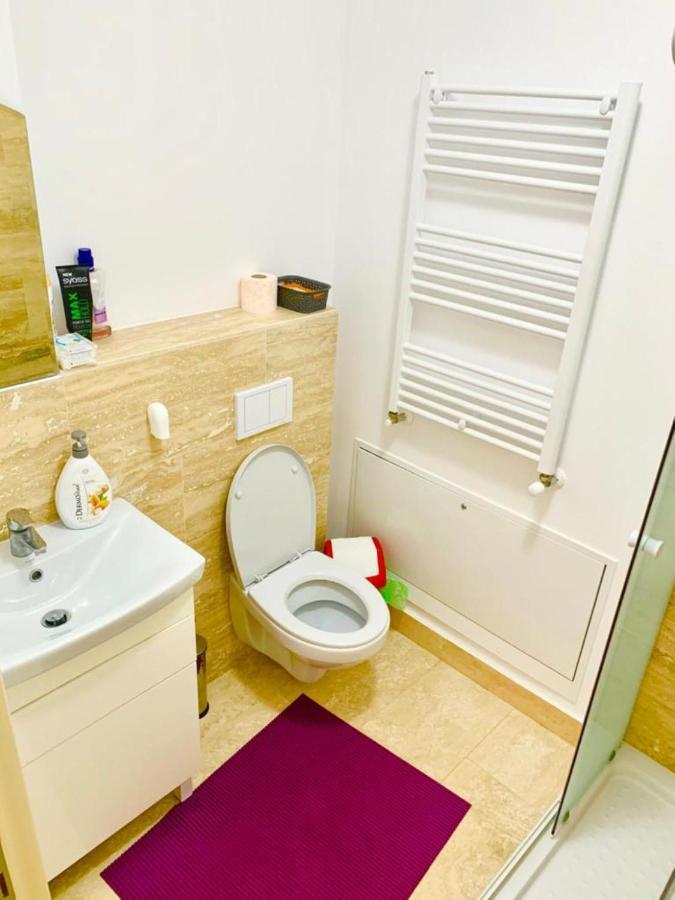 Big & Cosy Apartment With 3 Double Beds & 2 Bathrooms Iasi Luaran gambar